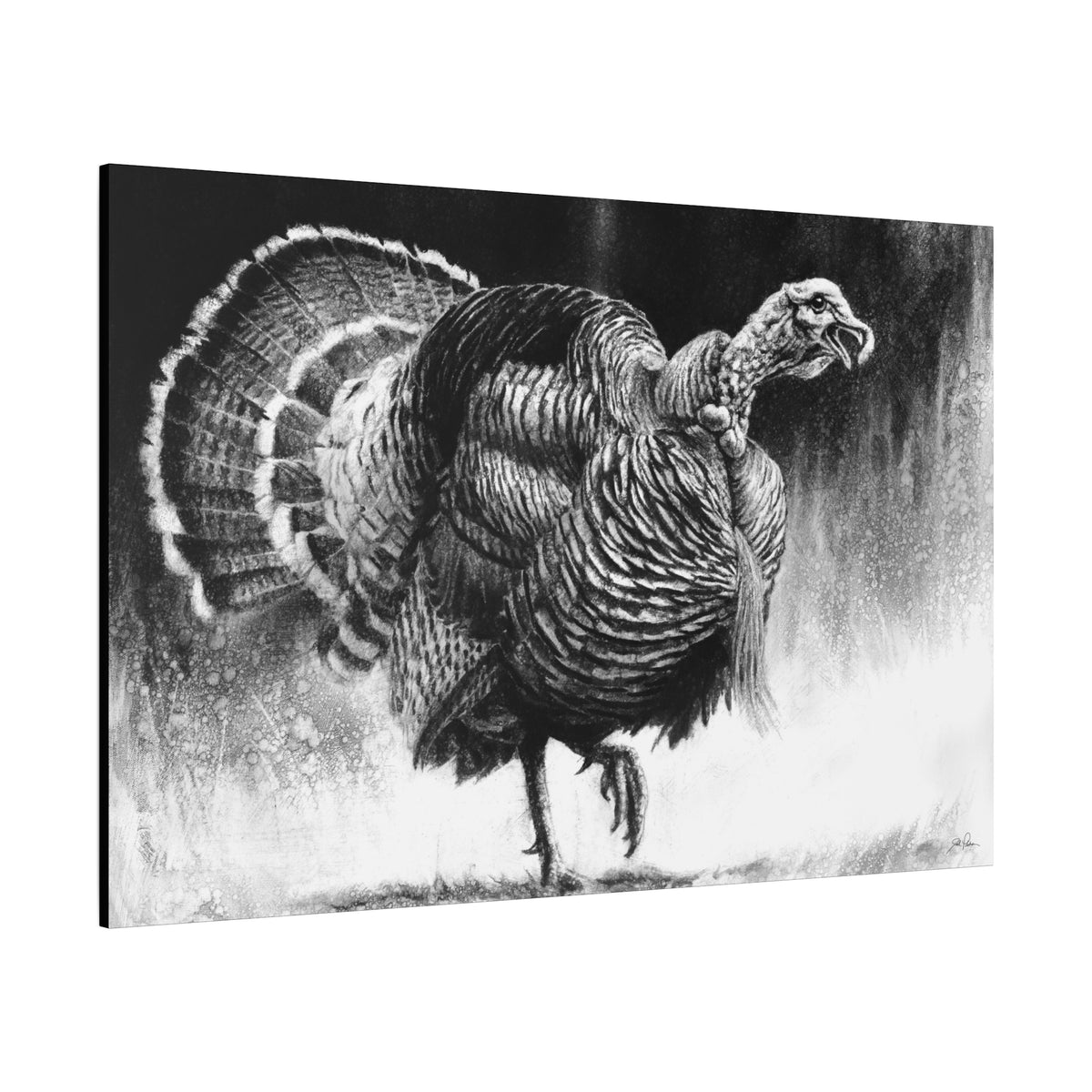 "Gobbler" Stretched Canvas
