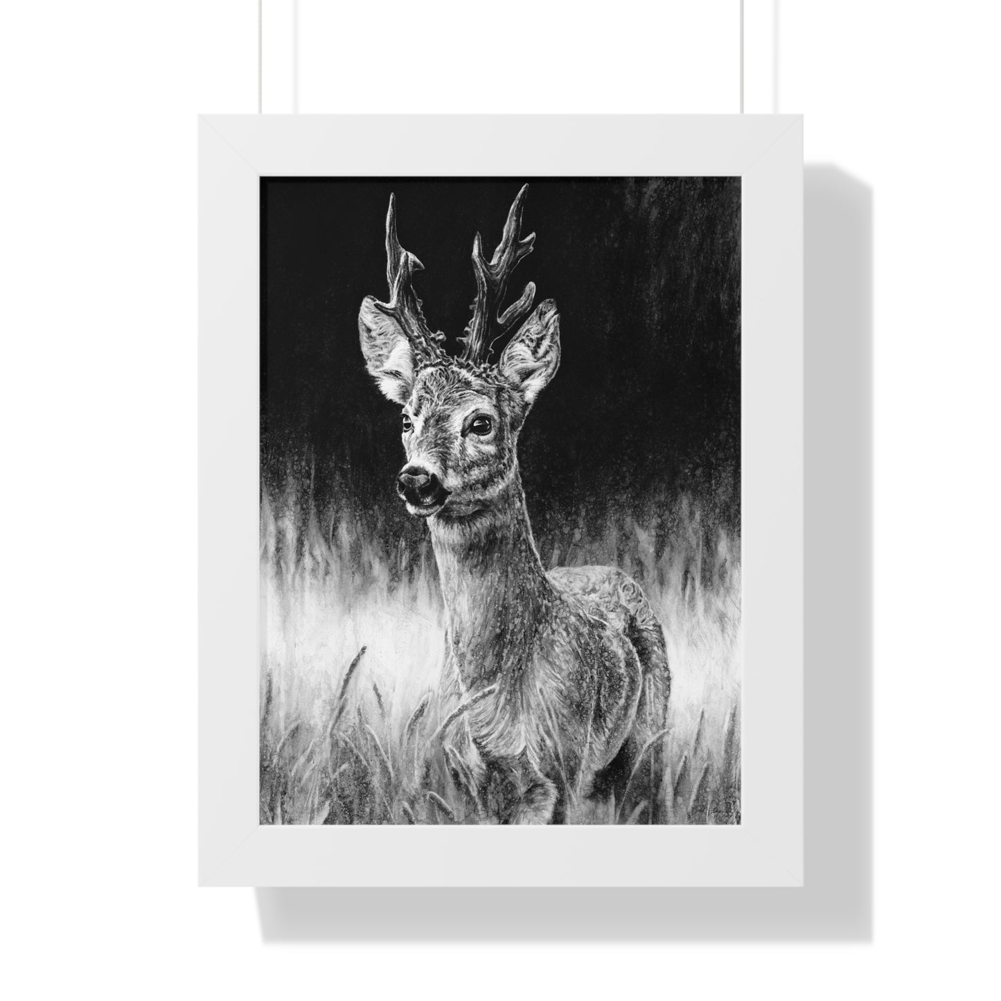 "Roe Deer" Framed Paper Print.