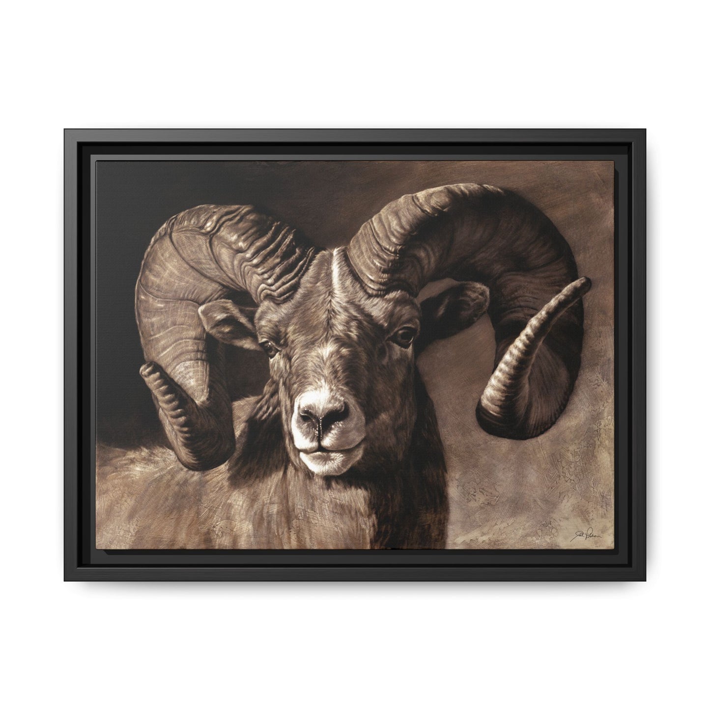 "Full Curl" Framed Canvas