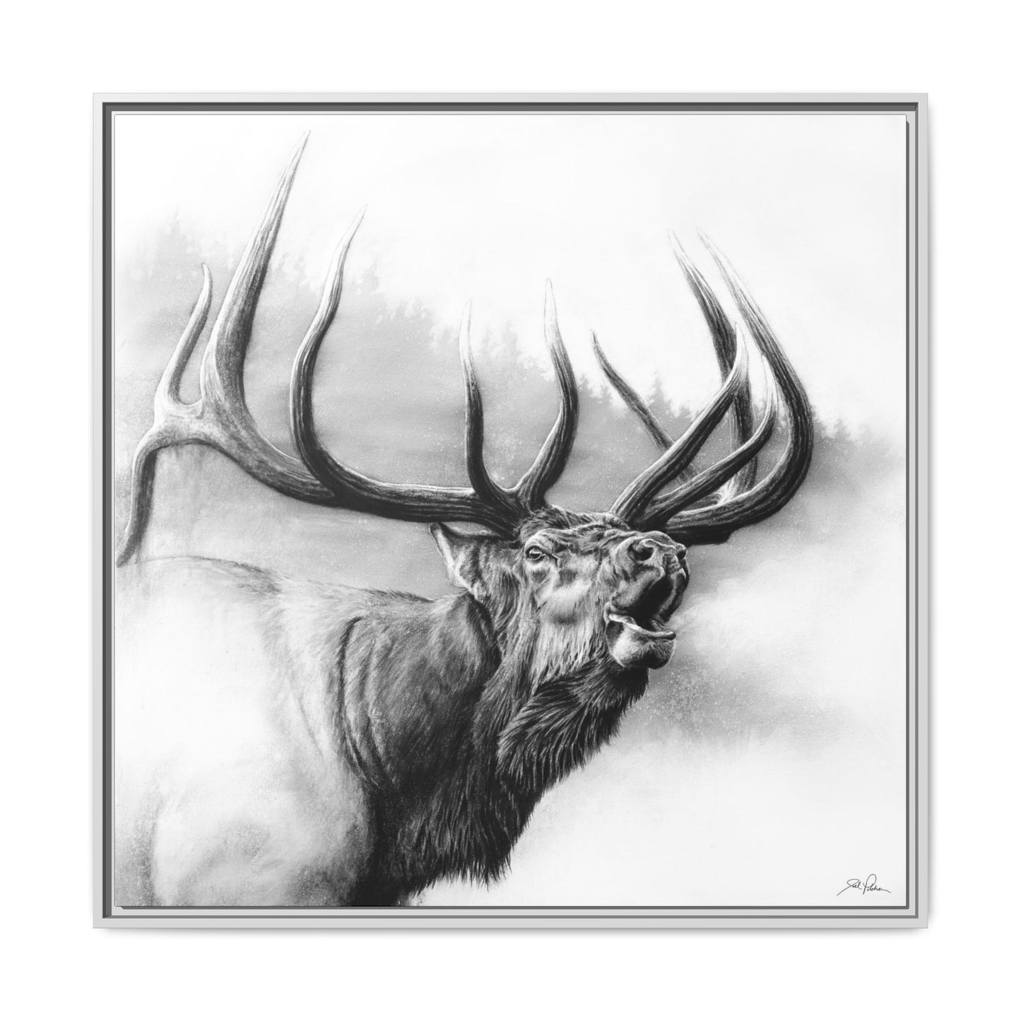 "Rocky Mountain King" Framed Canvas