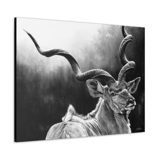 "Kudu" Gallery Wrapped Canvas