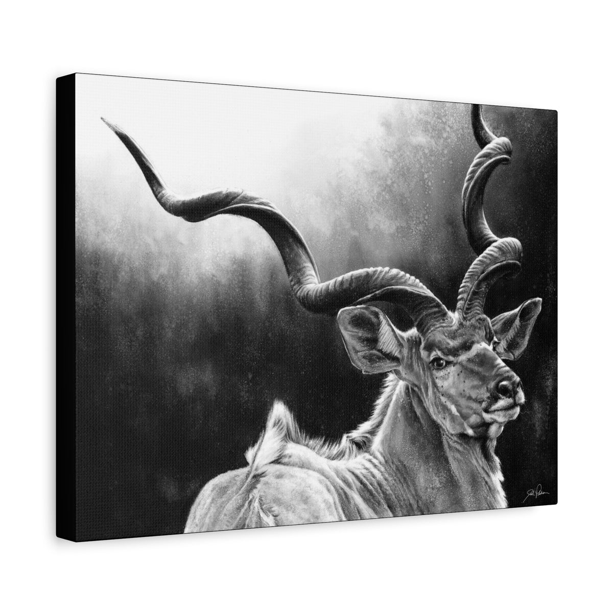 "Kudu" Stretched Canvas