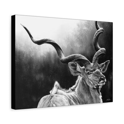 "Kudu" Stretched Canvas