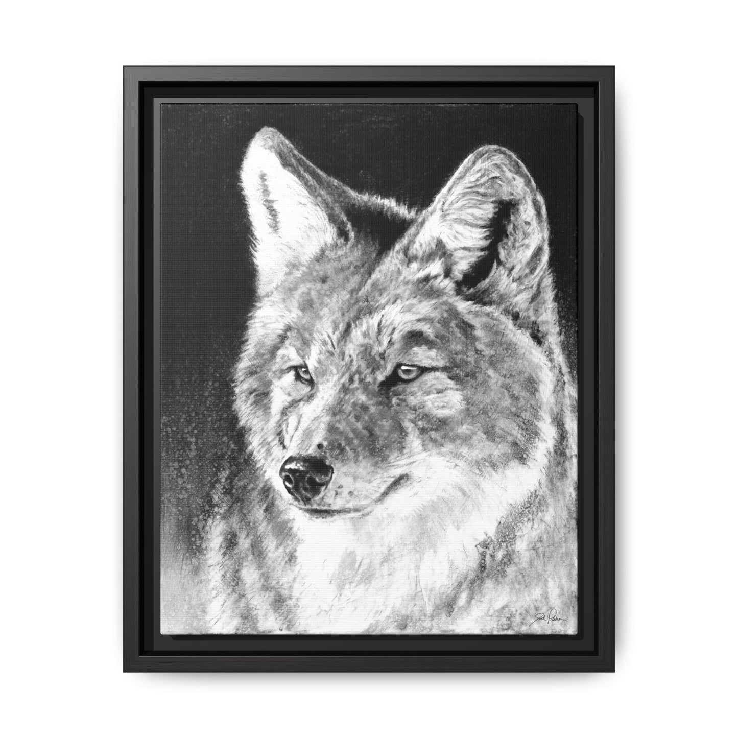 "Coyote II" Framed Canvas