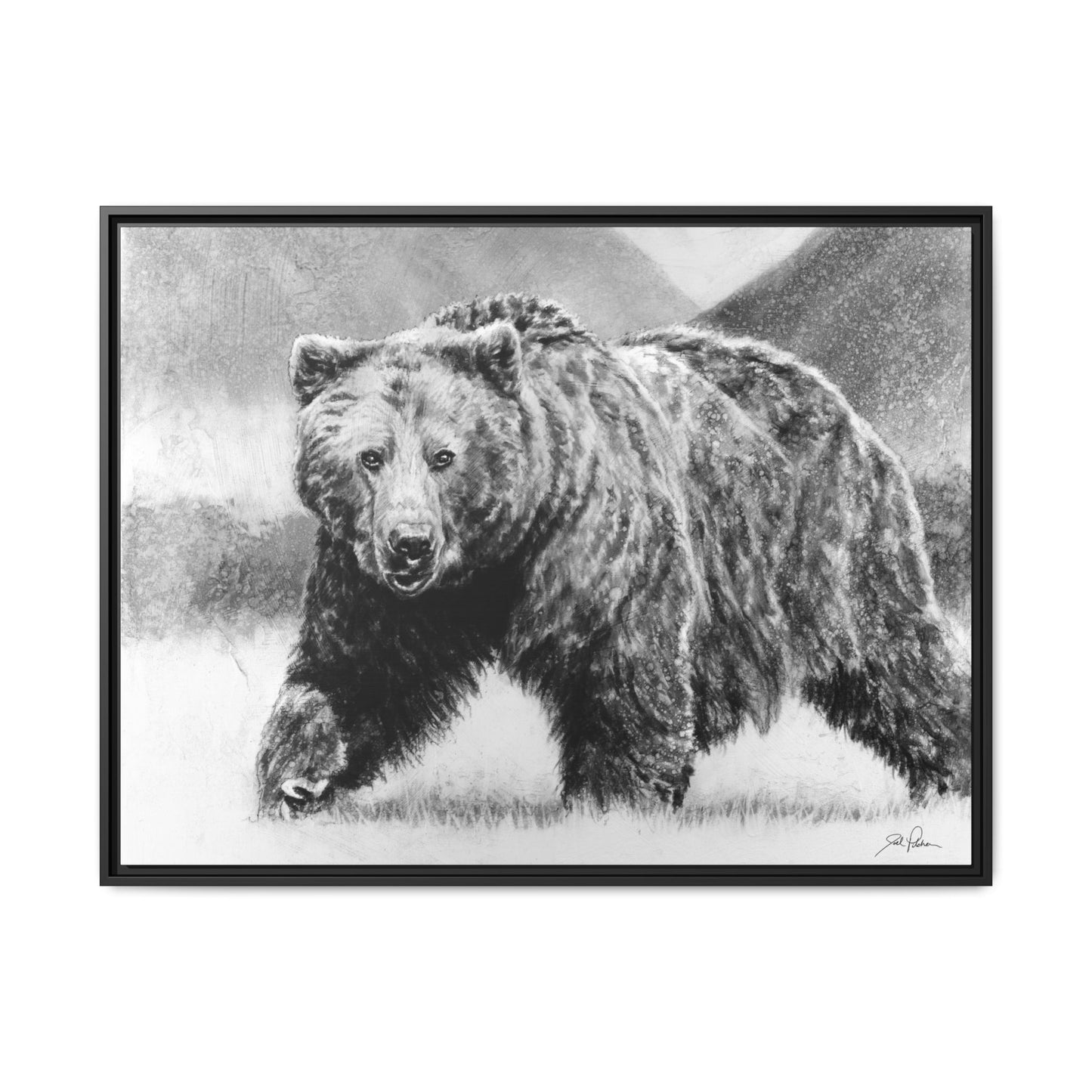 Grizzly II" Framed Canvas