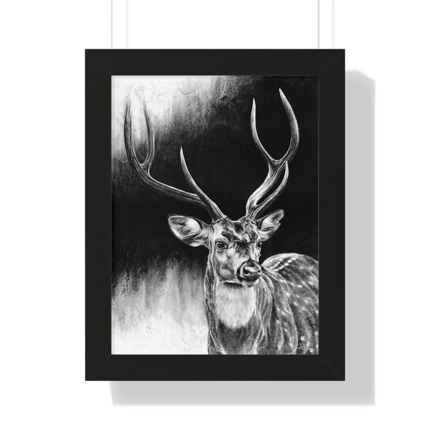 "Axis Buck" Framed Paper Print