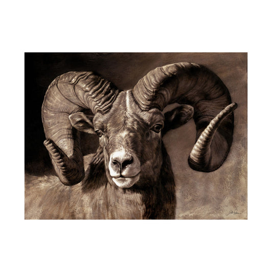 "Full Curl" Premium Matte Paper Print