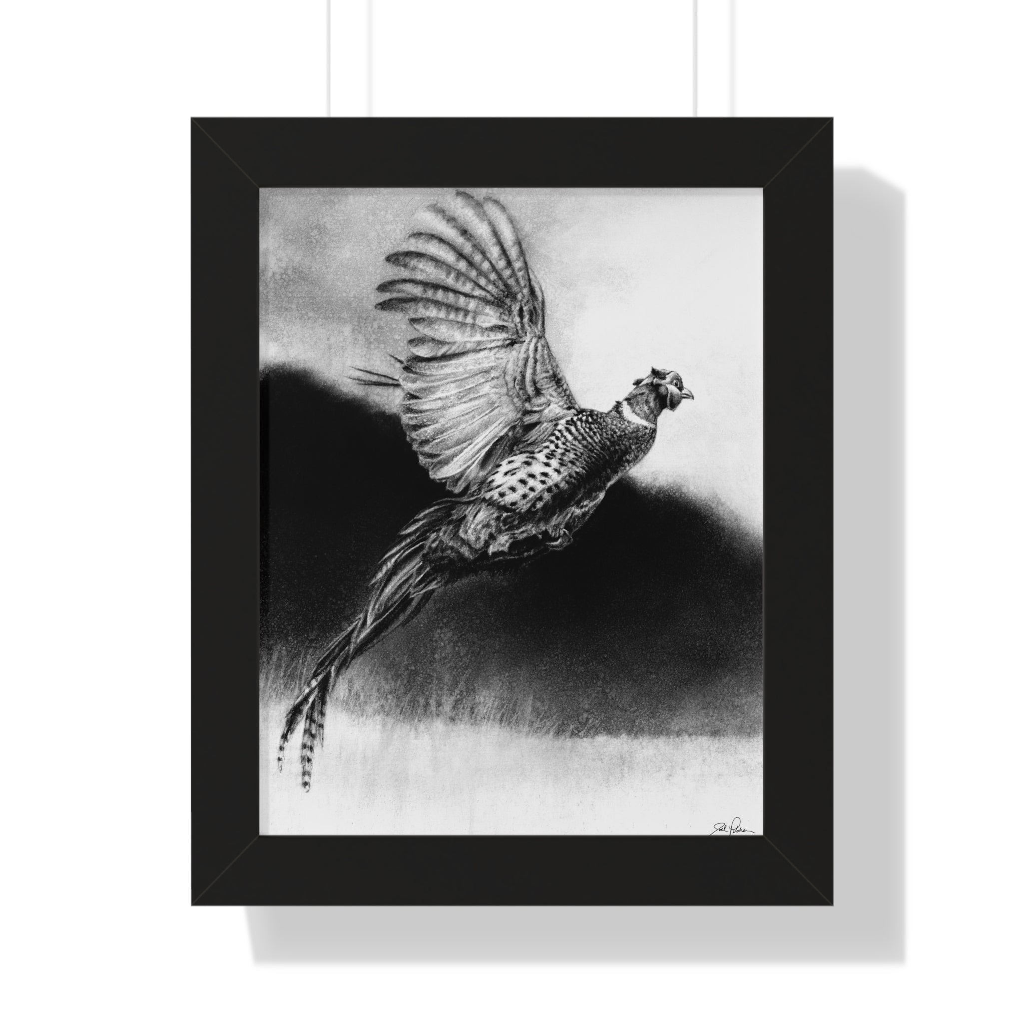 "Flushed" Framed Paper Print.
