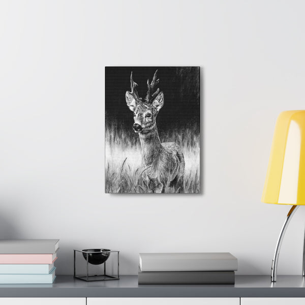 "Roe Deer" Gallery Wrapped Canvas