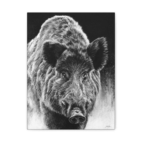 "Wild Boar" Gallery Wrapped Canvas