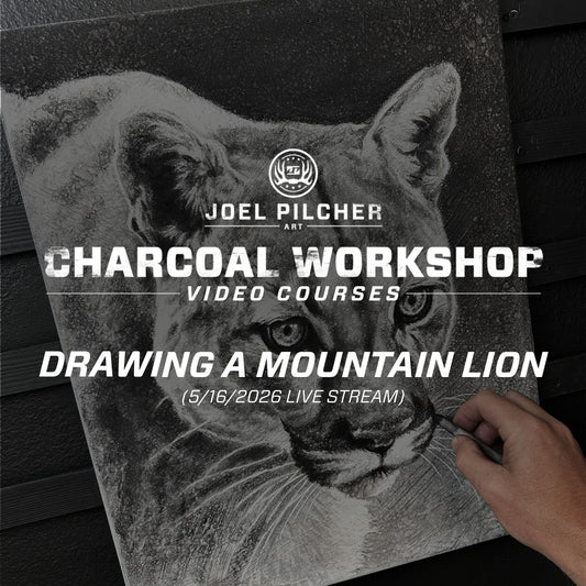 Charcoal Workshop: Drawing a Mountain Lion