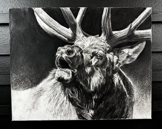 Workshop Bull Elk Original