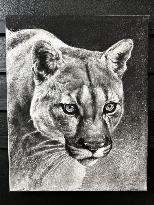 Workshop Mountain Lion Original