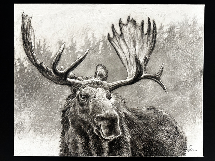 Workshop Moose Original