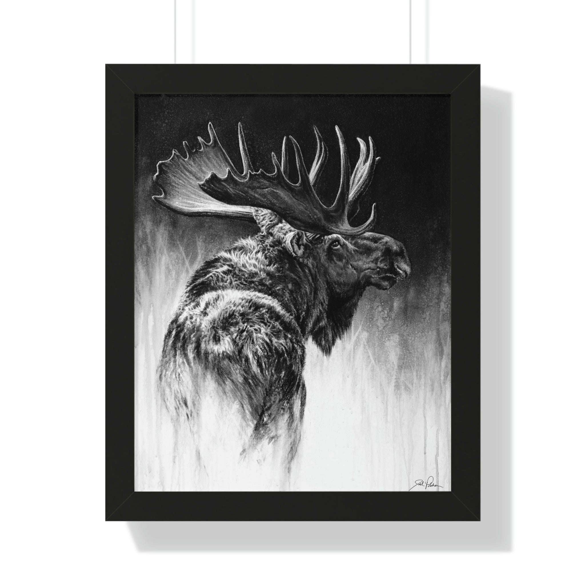 "Bull Moose" Framed Paper Print