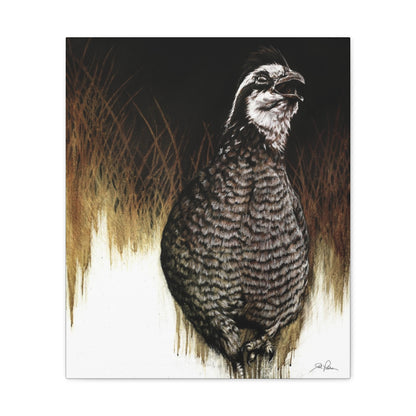 "Call of the Uplands Quail" Gallery Wrapped Canvas