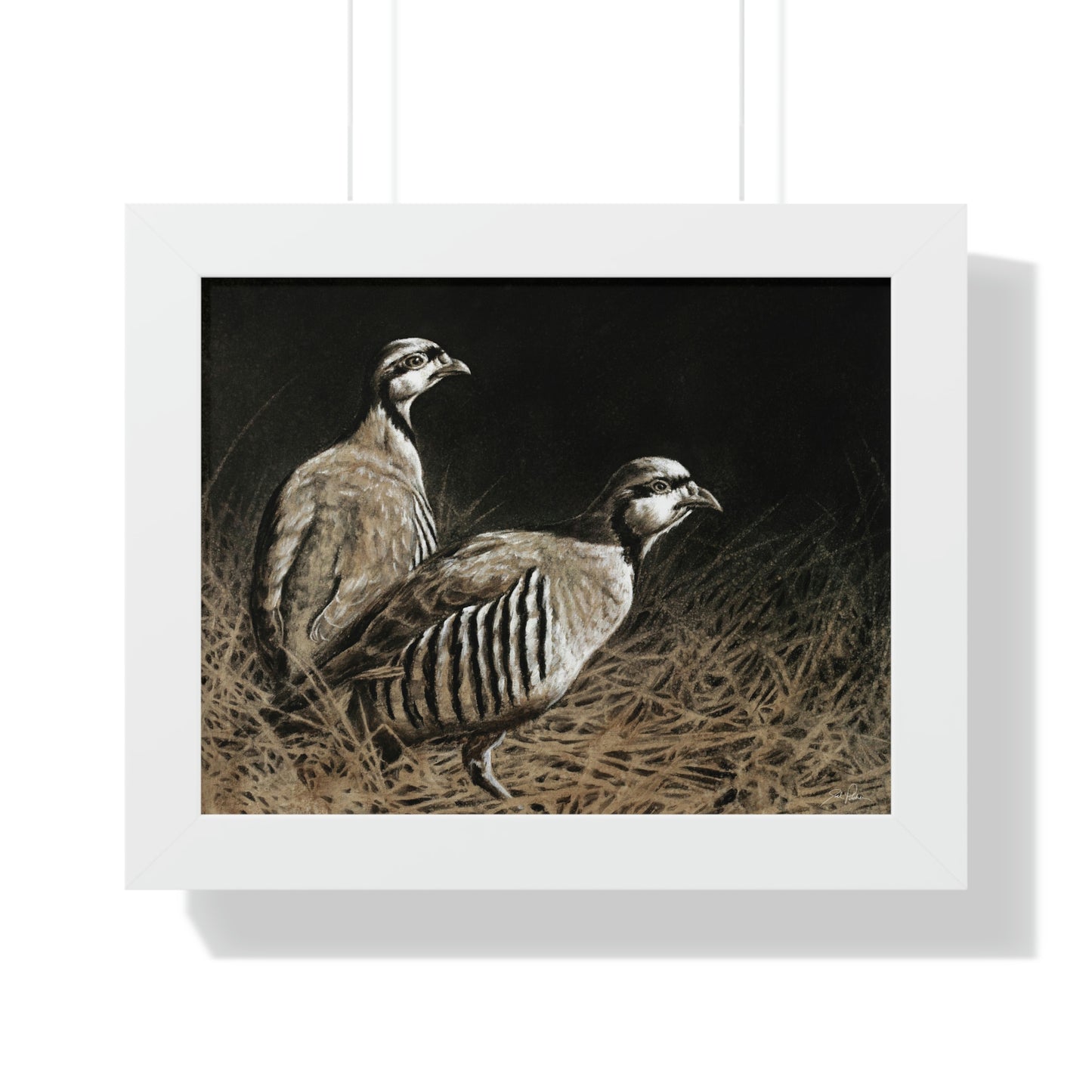 "Chukars" Framed Paper Print