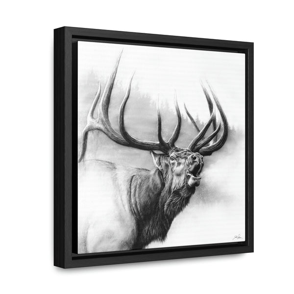 "Rocky Mountain King" Gallery Wrapped/Framed Canvas