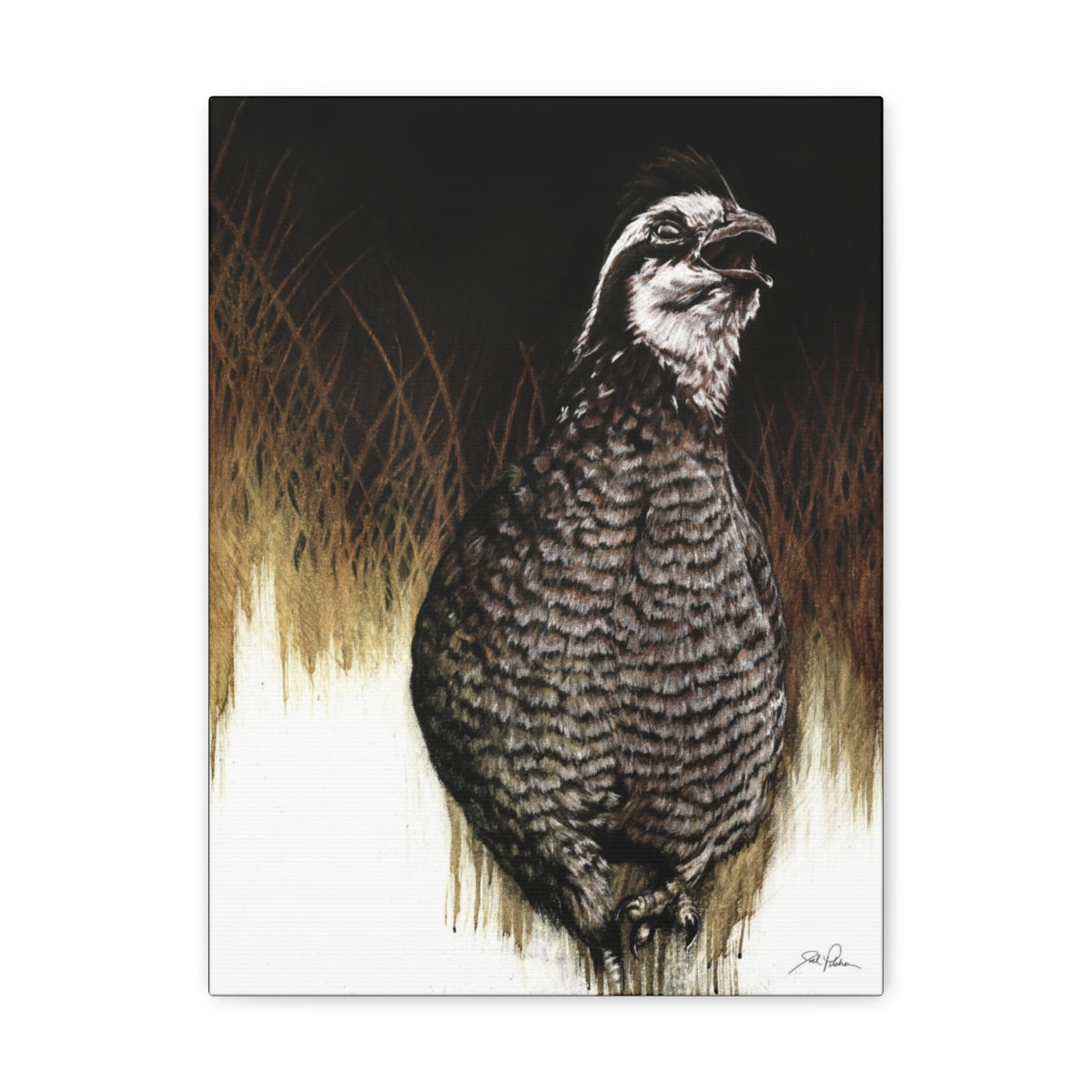 "Call of the Uplands Quail" Gallery Wrapped Canvas