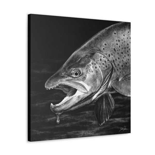 "Brown Trout" Gallery Wrapped Canvas