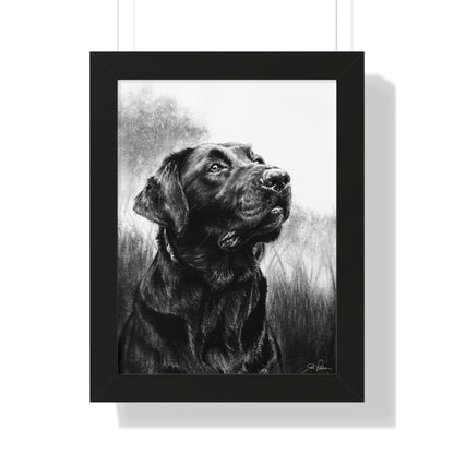 "Labrador" Framed Paper Print