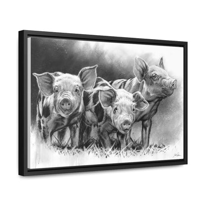 "Pig Tales" Gallery Wrapped/Framed Canvas