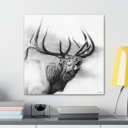 "Rocky Mountain King" Gallery Wrapped Canvas