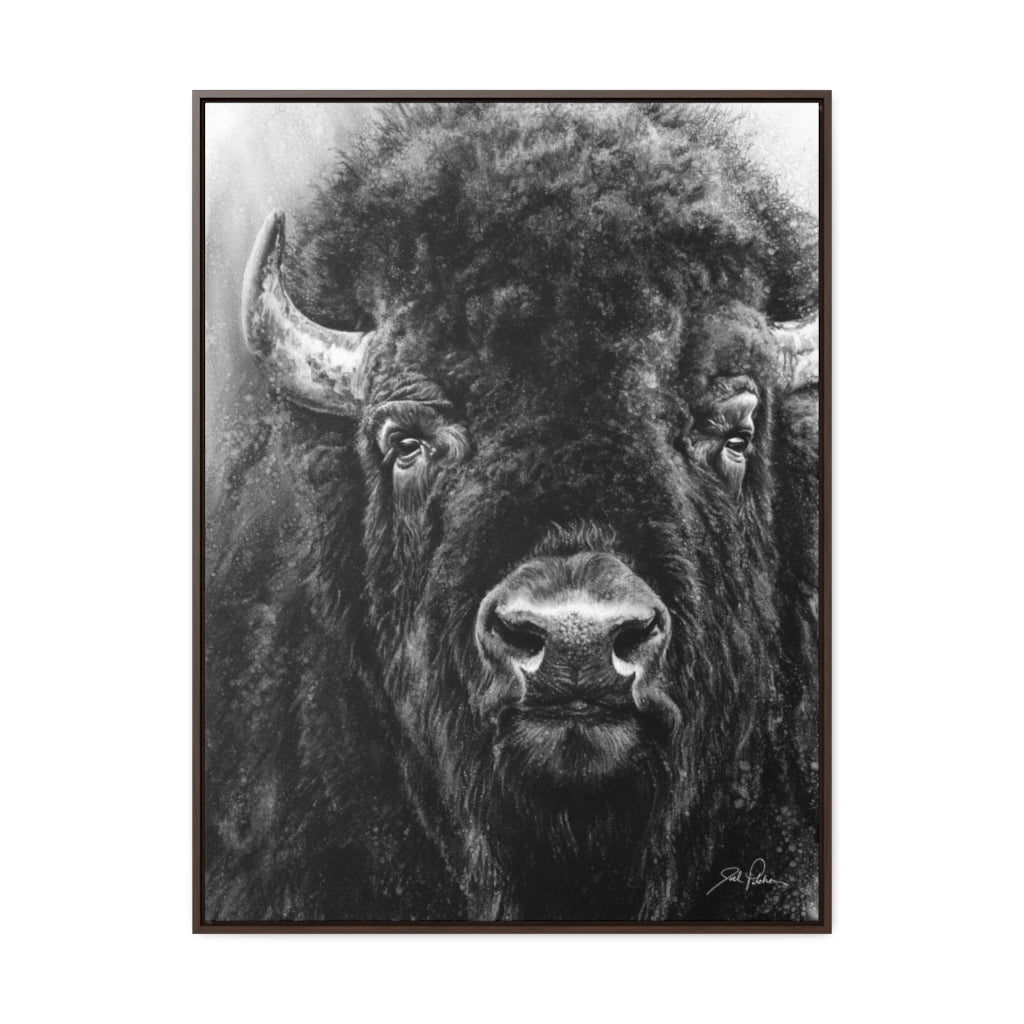 "Tatanka" Gallery Wrapped/Framed Canvas