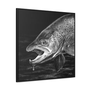 "Brown Trout" Gallery Wrapped/Framed Canvas