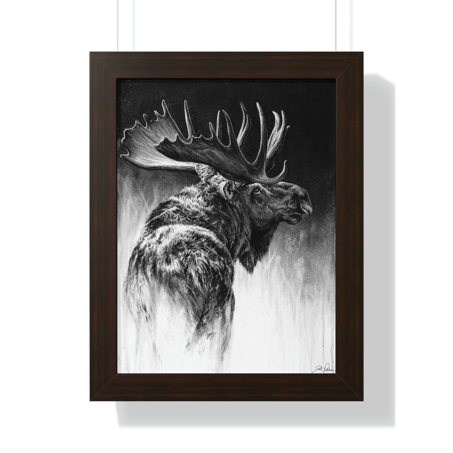 "Bull Moose" Framed Paper Print