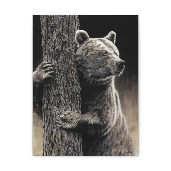 "Bear Hug" Gallery Wrapped Canvas