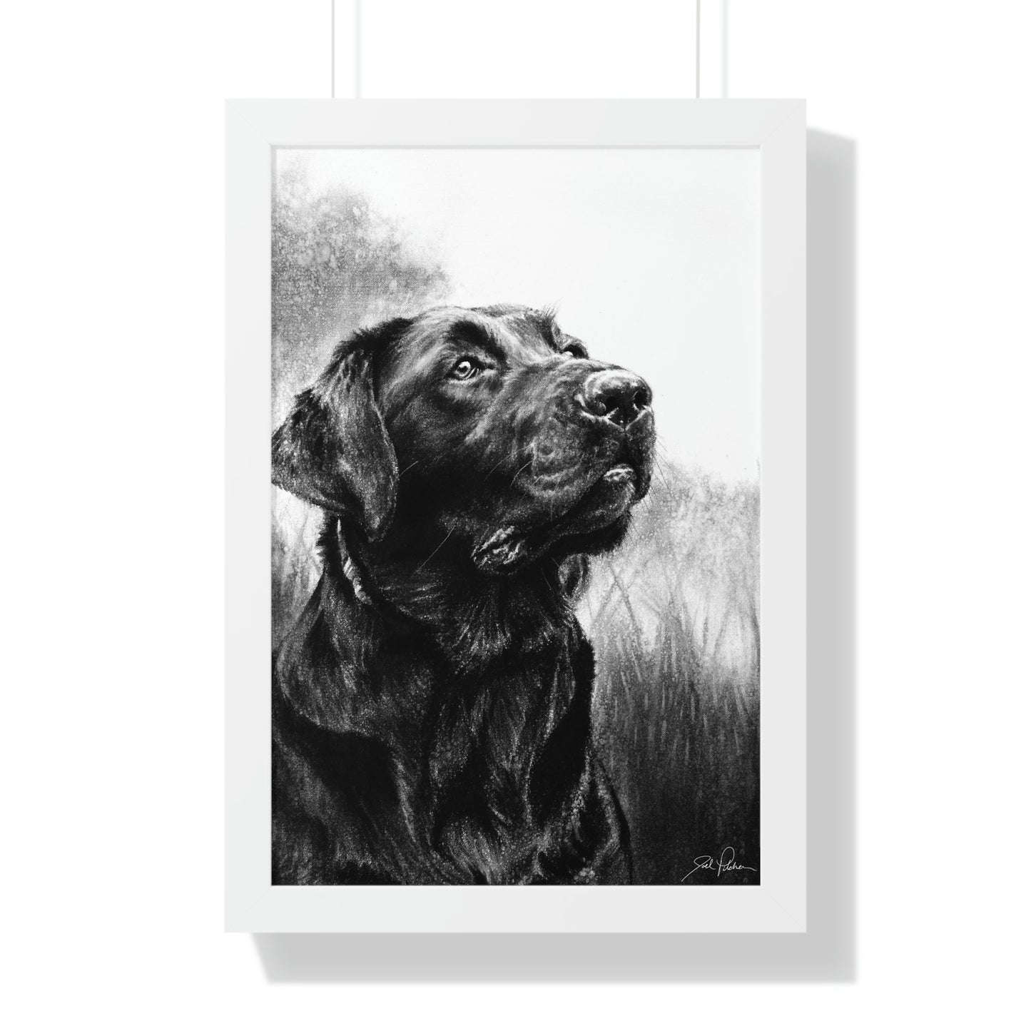 "Labrador" Framed Paper Print