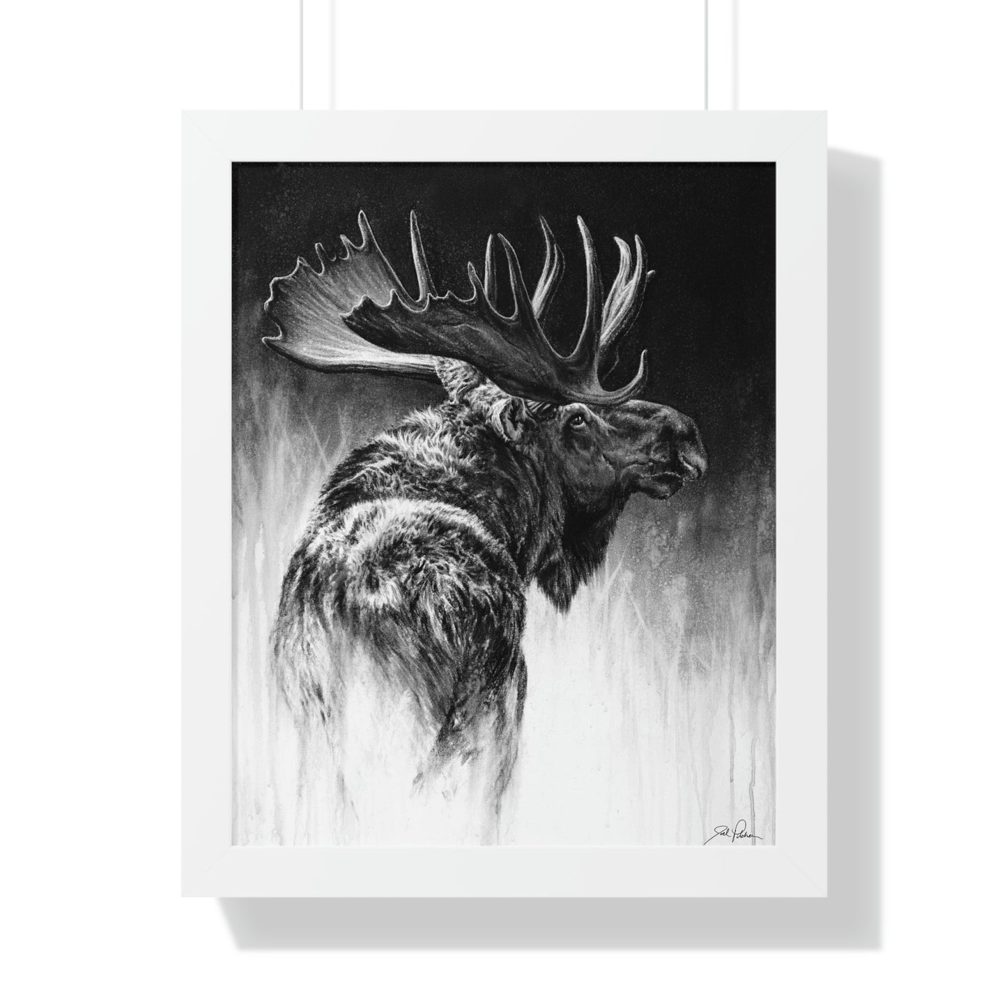 "Bull Moose" Framed Paper Print