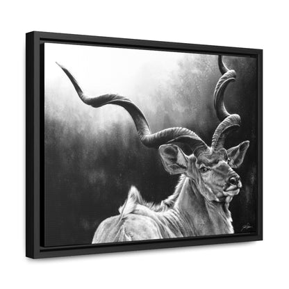 "Kudu" Gallery Wrapped/Framed Canvas