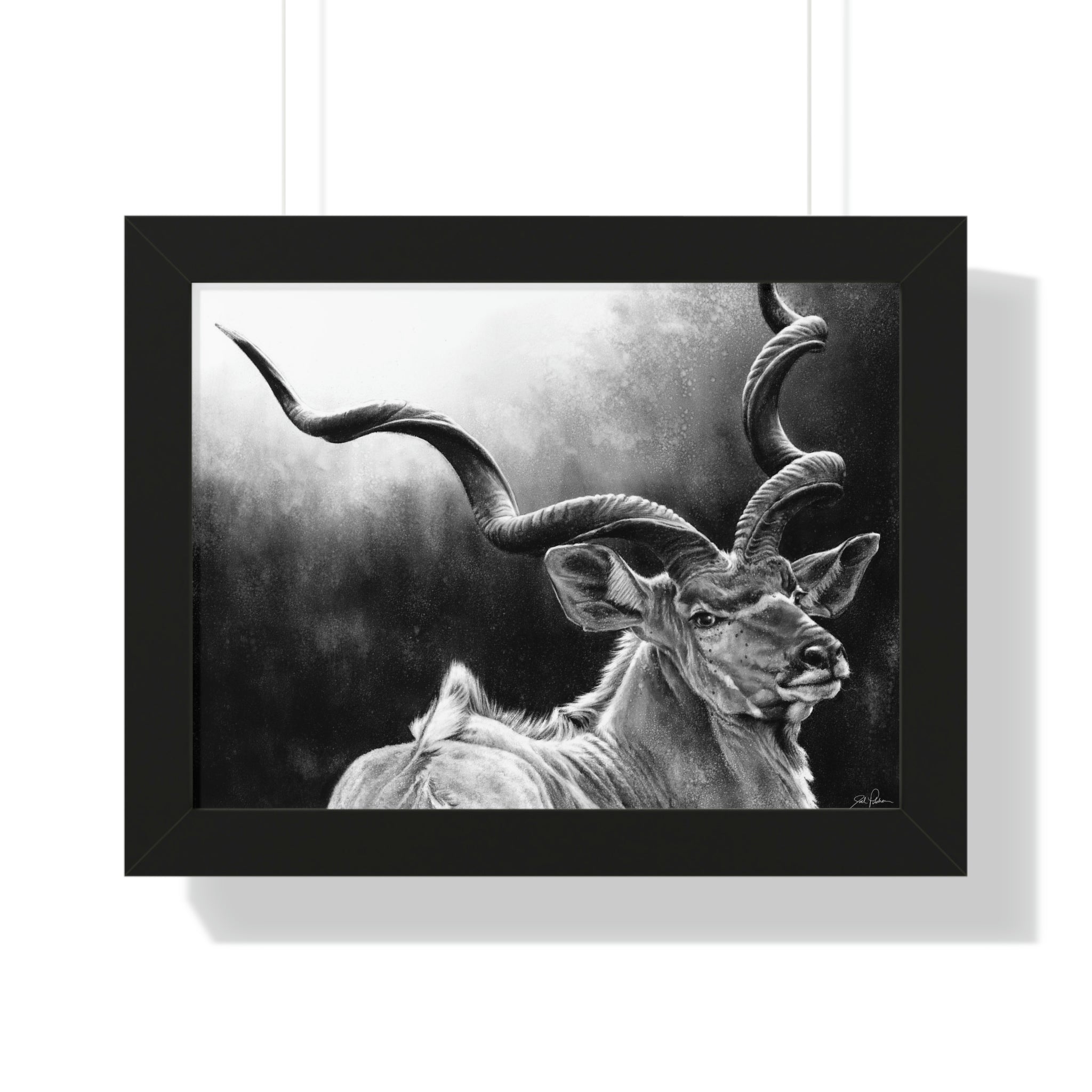 "Kudu" Framed Paper Print