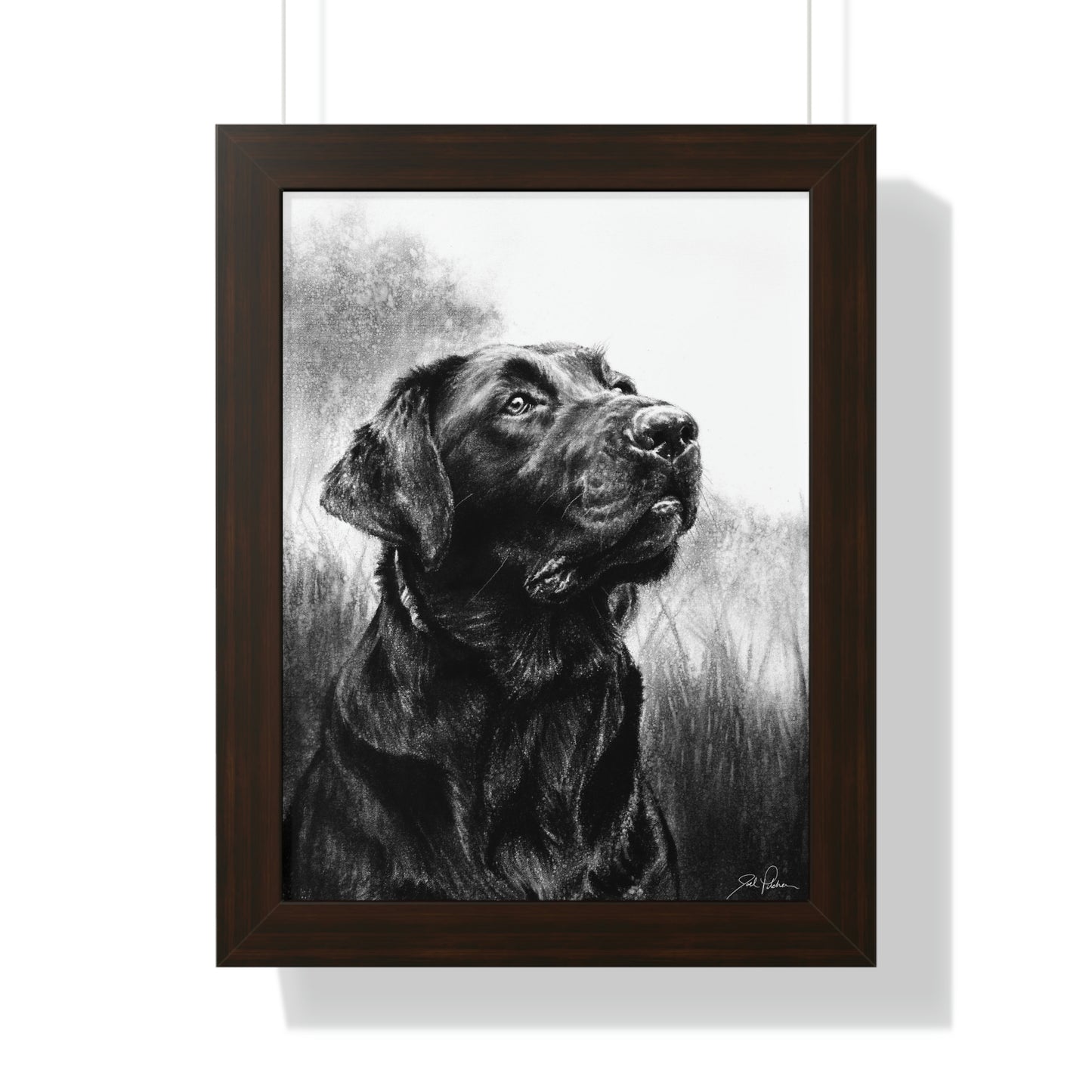 "Labrador" Framed Paper Print