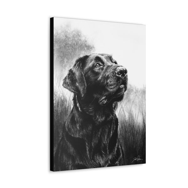 "Labrador Retriever" Gallery Wrapped Canvas