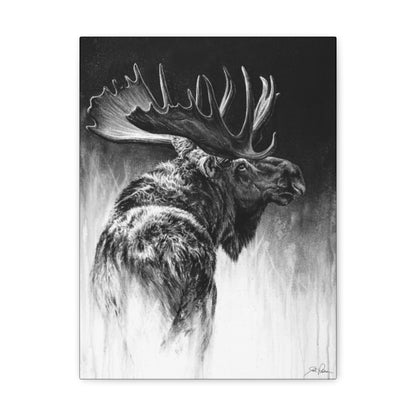 "Bull Moose" Gallery Wrapped Canvas