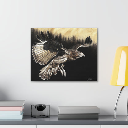 "Red Tailed Hawk" Gallery Wrapped Canvas