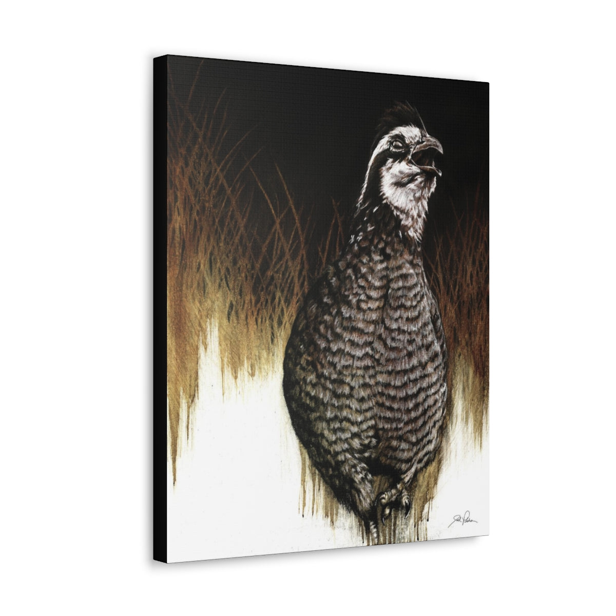 "Call of the Uplands Quail" Gallery Wrapped Canvas