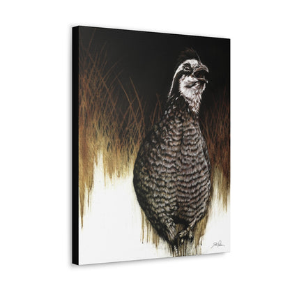 "Call of the Uplands Quail" Gallery Wrapped Canvas