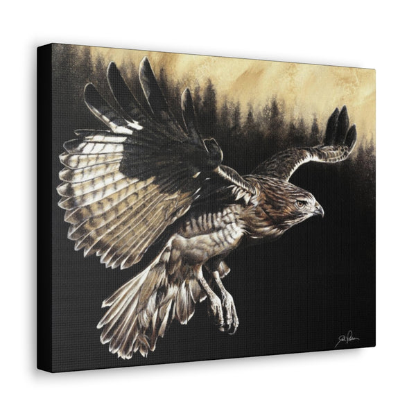 "Red Tailed Hawk" Gallery Wrapped Canvas