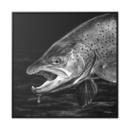 "Brown Trout" Gallery Wrapped/Framed Canvas