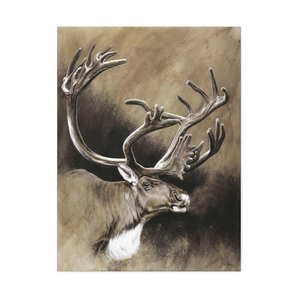 "Caribou" Gallery Wrapped Canvas