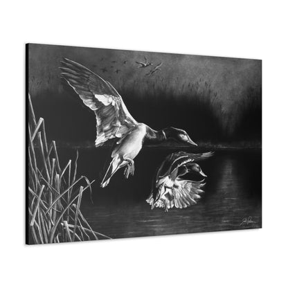 "Banded Brothers" Gallery Wrapped Canvas