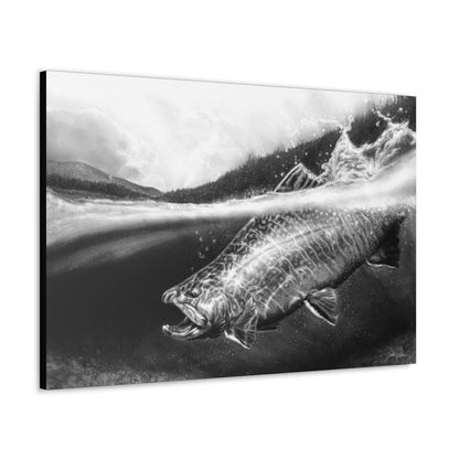 "Brook Trout" Gallery Wrapped Canvas