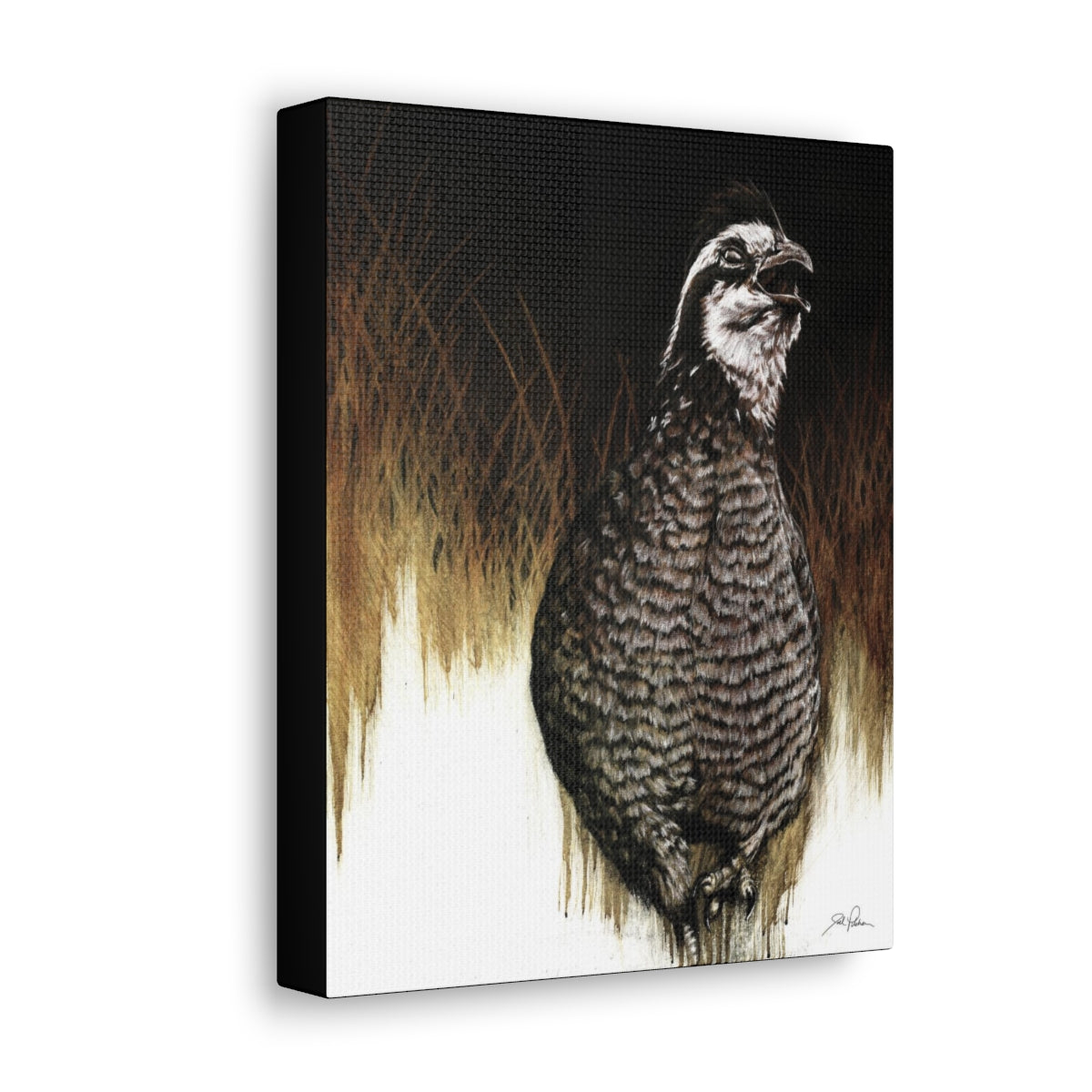 "Call of the Uplands Quail" Gallery Wrapped Canvas