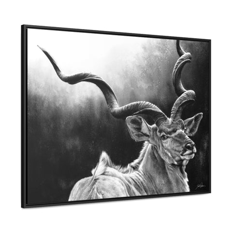 "Kudu" Gallery Wrapped/Framed Canvas