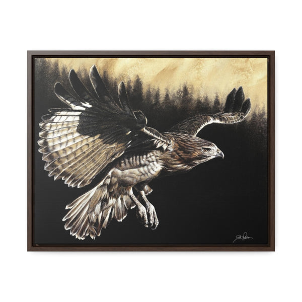 "Red Tailed Hawk" Gallery Wrapped/Framed Canvas