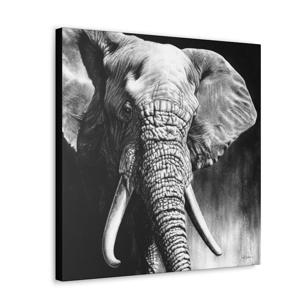 "High & Mighty" Gallery Wrapped Canvas